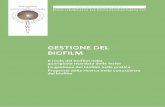GESTIONE DEL BIOFILM - ilditonellapiaga.it · in genere, descrivono i biofilm come batteri adesi alle superfici, incapsulati in una matrice extracellulare autoprodotta e tolleranti