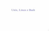Unix e Bash - didawiki.di.unipi.itdidawiki.di.unipi.it/.../lcs/lcs08/esercitazioni/asolab_bash1.0.pdf · • Illustrare le funzionalità principali della shell di Unix e di tool comunemente