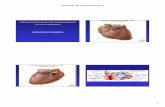 CARDIOPATIA ISCHEMICA - IL SITO UFFICIALE DEGLI … · 2017-01-11 · anatomia dell’albero coronarico e le possibili complicanze di un infarto miocardico. Complicanze dell’infarto