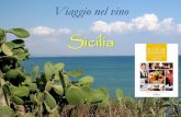 Sicilia - Ristorazione e bar | Portale per gli Addetti di Sala e …ristorazionebar.it/wp-content/uploads/2017/11/pres_si... · 2017-11-04 · vitigni a bacca nera, non aromatici,
