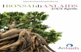 Note di mantenimento Bonsai I BONSAI di ANLAIDS · del 1000 a.C.: infatti il reperto più antico, un bonsai di pino, è stato individuato all’ interno della tomba del IV imperatore