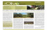 abbonamento postale 70% SOMMARIO - pieralisi.com · dell’olio extravergine di oliva e dei for-maggi ovini ottenuti dal latte di pecore ... utili sulla qualità dell’olio di oliva