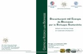 Tavola Rotonda - orizzontenergia.itorizzontenergia.it/download/Appr/BIOMASSA/2006_09_12_Biocarburanti...1 Tavola Rotonda Biocarburanti ed Energia da Biomasse per lo Sviluppo Sostenibile