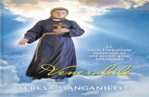 Oggi , 3 luglio 2009, il Santo Padre Benedetto della ... · scia della grande tradizione francescana. Il Processo Diocesano presso la Curia Arcivescovile di Benevento - es- ... e