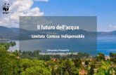 Alessandra Prampolini Responsabile Sostenibilità– WWF Italiafestivalsvilupposostenibile.it/public/asvis/files/Prampolini_E... · • 6.4 Aumento dell'eﬃcienza idrica e prelievi