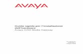 Guida rapida per l’installazione dell’hardware fileGuida rapida per l’installazione dell’hardware Avaya G250 Media Gateway 03-300433IT Edizione 1 Giugno 2005