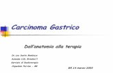 ANATOMIA Dr.ssa Bambace2 - WS Educational Center · Carcinoma Gastrico Dall’anatomia alla terapia Dr.ssaSanta Bambace Azienda USL Brindisi/1 Servizio di Radioterapia Ospedale Perrino-BR