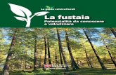La fustaia - Studio AgroForestale selvicolturale - fustaia.pdf · 3 Le guide selvicolturali Cos’è la fustaia In natura La fustaia, o bosco di alto fusto, è la condizione spontanea