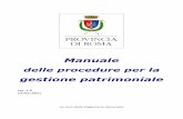 Manuale Patrimonio Webpatrimonio.provincia.roma.it/scuole/Manuale/ManualeTecnico_.pdf · Manuale delle procedure per la gestione patrimoniale ver. 1.0 13/01/2011 (a cura della Ragioneria