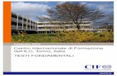 Centro Internazionale di Formazione dell’ILO, Torino ... · 1990 e il 28 febbraio 1991) ... per lo sviluppo industriale e un membro designato dal Direttore generale ... Presidenti,
