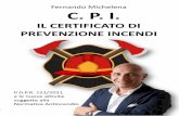 C. P. I. Fernando Michelena IL CERTIFICATO DI PREVENZIONE ... · prevenzione incendi, per la prima volta in Italia, si adotta un principio di proporzionalità, ovvero, tutti gli adempimenti