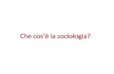 Che cos’è la sociologia?people.unica.it/giulianamandich/files/2018/02/1... · 2018-02-26 · Che cos’è la sociologia? 1 . Sapere sociologico comune = il patrimonio di conoscenze,