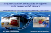 Le potenzialità di produzione energetica delle derivazioni ... · PIANO ENERGETICO CONSORTILE. ... Ledra (comune di Udine) Centrale di “Pannellia” (comune di Sedegliano) Bilancio