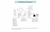 DataBase Biologici - didattica.cribi.unipd.itdidattica.cribi.unipd.it/bioinfouno/2011_2012/lezioni/Dispensa_II.pdf · Per le specifiche ricerche nei DB biologici, sono di aiuto strumenti