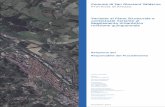 Comune di San Giovanni Valdarno Provincia di Arezzo ...portal.comunesgv.it/si4web/common/docs/PSRU_2014/A01_RdP.pdf · Variante al Piano Strutturale e contestuale Variante al Regolamento