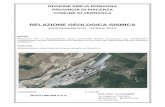 RELAZIONE GEOLOGICA-SISMICA - Provincia di Piacenza Geologica... · Protezione e la Ricerca Ambientale - ISPRA). Relazione geologica-sismica “aggiornamento 2015” Pagina 7 ...