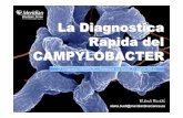 Busti la diagnostica rapida di Campylobacter - NEWMICRO · La Diagnostica Rapida del CAMPYLOBACTER 3°Congresso NEWMICRO (Padenghe sul Garda 21 marzo 2013) Elena Busti elena.busti@meridianbioscience.eu