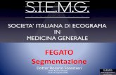 FEGATO Segmentazione - siemg.org · fegato in 8 segmenti anatomo-funzionali •Utile sia per i chirurghi che per gli specialisti di imaging in modo da rendere univoca la descrizione