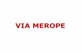 VIA MEROPE · lingua inglese 9780194012904 aa vv new treetops 4 / cb&wb + cd + espansione on line + ebook 4 oxford university press 6,19 no si no sussidiario dei linguaggi 9788891511898