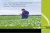 Le soluzioni Syngenta per la protezione delle leguminose · Botrytis cinerea è un microorganismo ubiquitario e polifago e, ... e peronospora Peronospora e alternariosi Antracnosi