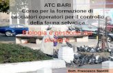 ATC BARI Corso per la formazione di cacciatori operatori ...atcbari.it/share/pagine/26/multiupload/07biologiaegestionedel... · nelle campagne con colorazione del piumaggio variabile.