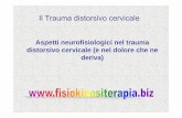 Il Trauma distorsivo cervicale - Fisiokinesiterapia · Il Trauma distorsivo cervicale Aspetti neurofisiologici nel trauma distorsivo cervicale (e nel dolore che ne deriva) ... (SEP)