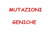 Mutazioni-090111 (11 ) OSTETRICIA 2010-2011... · sul fenotipo cellulare! le mutazioni possono avvenire anche in regioni non ... nei primi due casi e nel caso dei segnali ddiipoliadenilazione,