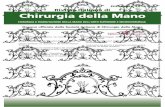 Vol. 53 - N. 4 rivista italiana di Chirurgia della mano · L’Ossigenoterapia iperbarica nei traumi complessi dell’arto superiore 5 Chirurgia della Mano - Vol. 53 (4) 2016 traumatologia