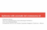 Epilessia nelle anomalie del cromosoma 18 - agemo18.comagemo18.com/wp-content/uploads/2017/05/Dilena-Epilessia-cromosoma... · Epilessia nelle anomalie del cromosoma 18. Robertino