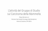 L’attività del Gruppo di Studio sul Carcinoma della Mammella · Linfedema post-chirurgico: miti e realtà ... tra i vari GIC aziendali in Regione Piemonte, emerge la necessità