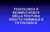 FISIOLOGIA E BIOMECCANICA DELLA POSTURA SEDUTA …fisioterapia-pavia.myblog.it/media/02/01/915299303.pdf · Muscoli posteriori del tronco Articolazioni interapofisarie Strutture nervose
