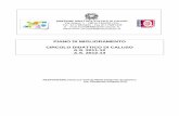 PIANO DI MIGLIORAMENTO CIRCOLO DIDATTICO DI …circolodidatticocaluso.it/.../uploads/2014/05/pianomiglior.pdf · PIANO DI MIGLIORAMENTO CIRCOLO DIDATTICO DI CALUSO A.S. 2011-12 A.S.