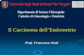 Il Carcinoma dell’Endometrio - italiasalute.itendometrio.pdf · In Italia l’incidenza dell’adenocarcinoma dell’endometrio è del 5-6% dei tumori femminili con circa 4.000