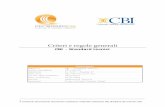 CBI - Standard tecnici · errore 100 da utilizzare in ... 6 CRITERIO DI CALCOLO DEI CARATTERI DI CONTROLLO ... n campo numerico an campo alfanumerico