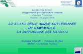LO STATO DELLE ACQUE SOTTERRANEE IN CAMPANIA E LA ... · Convegno provinciale Avellino - 21 giugno 2006 La Direttiva Nitrati Un’opportunità per l’agricoltura campana Convegno
