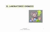 IL LABORATORIO CHIMICO - ironguide.itironguide.it/Compiti_di_chimica/IL_LABORATORIO.pdf · Contenitori per piccoli volumi di campione su cui effettuare delle analisi Capsula o crogiolo