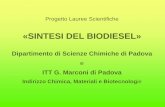«SINTESI DEL BIODIESEL» - itismarconipadova.edu.it _Didattiche... · problema dell’inquinamento atmosferico dovuto ai combustibili fossili trovando nell’uso del biodiesel un