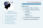La natura della memoria Lo sviluppo della memoria · Lo sviluppo cognitivo 1. Teorie dell’elaborazione dell’informazione 2. La natura del pensiero ... Visione ingenua ... •Amnesia