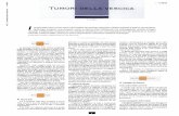 TUMORI DELLA VESCICA - Corso di Laurea in Infermieristicainfermieristica.polodidatticopanico.com/.../09/TUMORIDELLAVESCICA.pdf · quelli infiltranti (pT2-pT4) richiedono un intervento