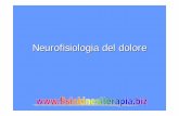 Neurofisiologia del dolore - FISIOKINESITERAPIA-NEWS.ITfisiokinesiterapia-news.it/download/dolore2.pdf · DOLORE ESPERIENZA SENSORIALE E/O EMOZIONALE SPIACEVOLE ASSOCIATA A UN DANNO