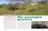 Il giardino naturale Un esempio - Carlo Ranzoni Giardinicarloranzoni.ch/index/wp-content/uploads/giardino-naturale.pdf · per rendere il giardino semplice ma molto interessante nelle