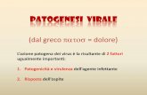 Patogenesi Virale - homepage — Unife  e virulenza Virulenza e patogenicità tendono ad essere usati come sinonimi, ma sono due aspetti diversi dello stesso fenomeno Patogenicità