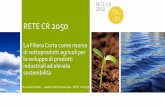 RETE CR 2050 - Chimica Verde Bionet Slides... · Europa, ivi comprese la logistica e la catena di approvvigionamento necessarie per ... tale efficienza non solo è possibile, ma può