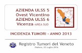 AZIENDA ULSS 5 Ovest Vicentino AZIENDA ULSS 6 Vicenza … · totale tumori maligni (tassi standardizzati x 100,000) rt v ulss 5 & ulss 6 popolazione esposta a pfas. rt v 2013 - popolazione