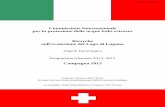Commissione Internazionale per la protezione delle acque ... · sull'evoluzione del Lago di Lugano Aspetti limnologici Programma triennale 2013–2015 Campagna 2013 Istituto scienze