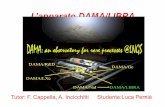 L’apparato DAMA/LIBRA - roma1.infn.it · • Necessitano di poco spazio sotto terra ... Durante il periodo di crescita dei cristalli, e durante il trasporto dei materiali, raggi