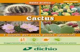 Cactus - vivaidichio.it · prodotti contenenti legno proveniente da foreste gestite in maniera corretta e responsabile secondo rigorosi standard ambientali, sociali ed economici: