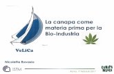 La canapa come materia prima per la Bio-Industriacanapamundi.com/wp-content/uploads/conferenza/Ravasio.pdf · (intrinseca natura polare e idrofila delle fibre cellulosiche a fronte