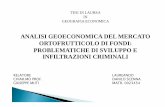 ANALISI GEOECONOMICA DEL MERCATO OO … · 2011-06-22 · tesi di laurea in geografia economica analisi geoeconomica del mercato oo cooortofrutticolo di fondi: problematiche di sviluppo
