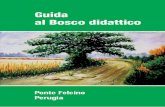 Guida al Bosco didattico - pprg.infoteca.it · del Bosco didattico e, ... rappresentare un salutare percorso ben den- ... Una vera e propria biblioteca in cui vivono alberi e fiori